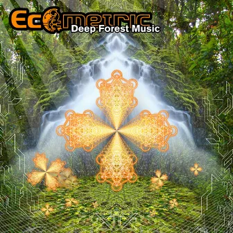 Deep Forest Music by Ecometric