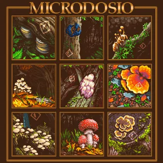 Microdosio by Papadosio