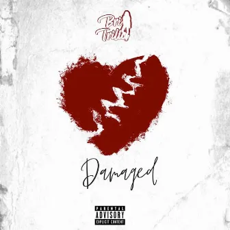 Damaged by Bri Trilla