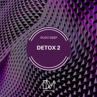 Detox 2 by Rudo Deep