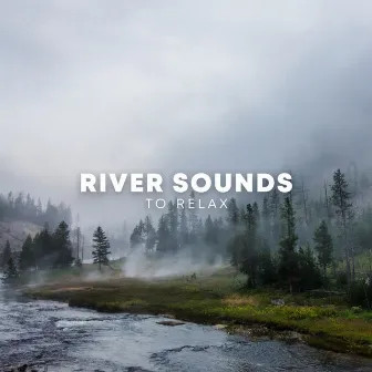 River Sounds To Relax by Rainforest Sounds