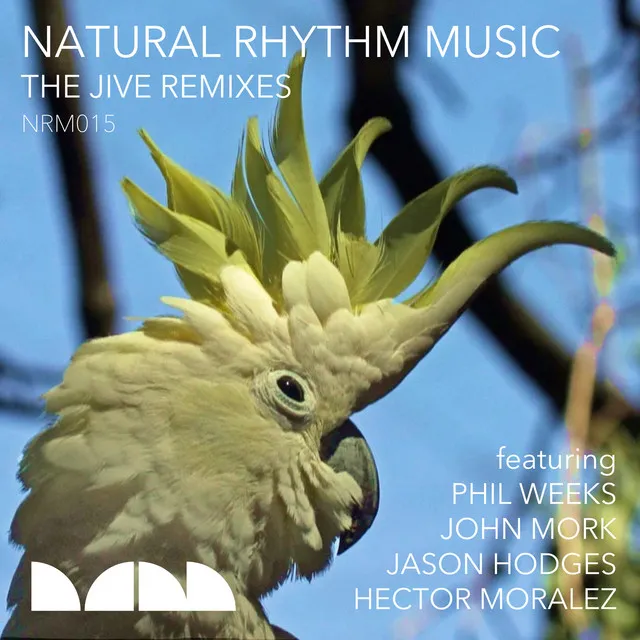 The Jive - Natural Rhythm Remix