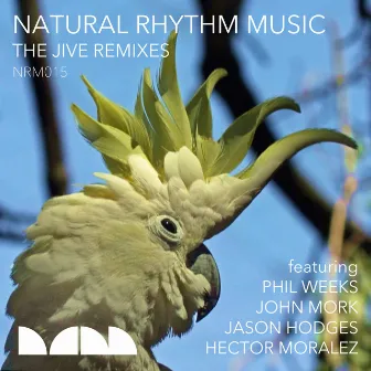 The Jive Remixes by Natural Rhythm