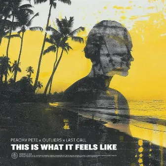 This Is What It Feels Like by Peachy Pete