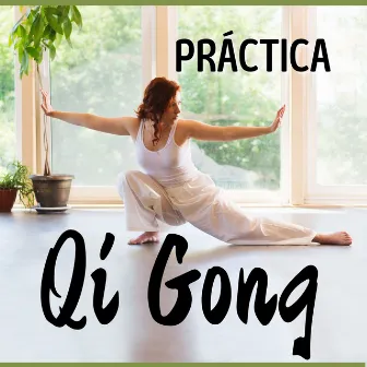 Práctica Qi Gong: Música Relajante para Tai Chi y Ejercicio Ligero, Sonidos Orientales de Fondo de la Naturaleza by China Zen Tao