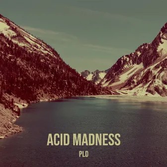 Acid Madness by PLD