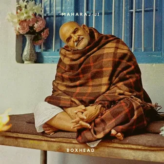 Maharaj-ji by Boxhead