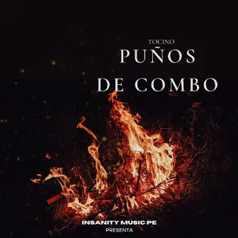 Puños de Combo by Tocino