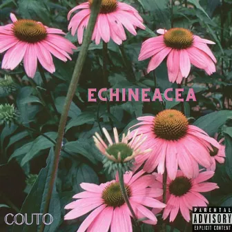 Echinacea by Eric Couto