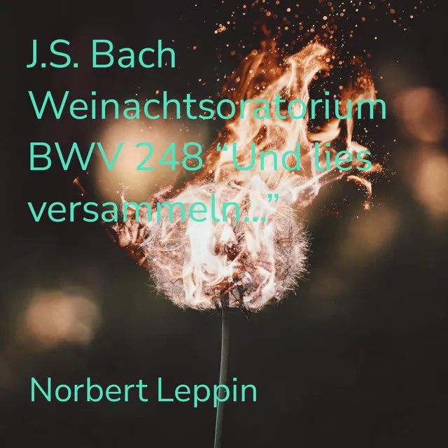 J.s.bach Weinachtsoratorium BWV 248 "Und lies versammeln.."