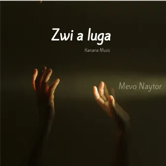 Zwi a Luga by Mevo Naytor