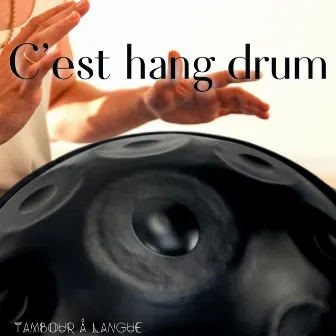 C'est hang drum by The Hang Drum Project