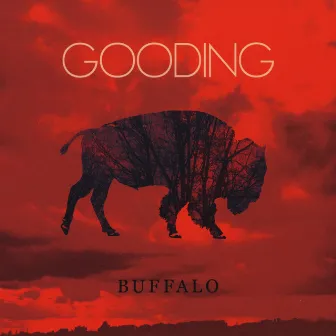 Buffalo by GOODING