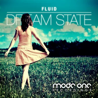 Dream State by Fluid