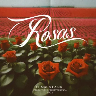 Rosas by EL MAL