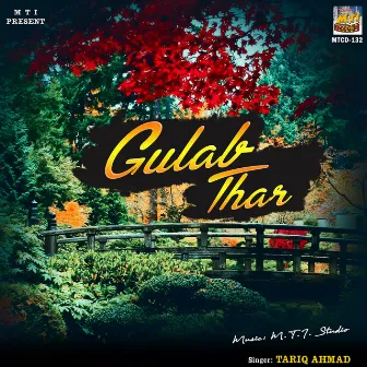 Gulab Thar by Shabir