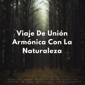 Viaje De Unión Armónica Con La Naturaleza: Sonido Ambiente De Aves Para Un Tiempo De Calidad Con Las Mascotas by Thiago Mascotas