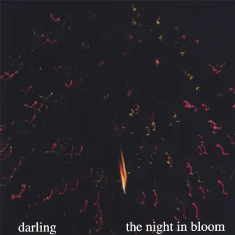 The Night In Bloom by Darling