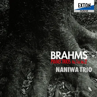 Brahms: Piano Trios No.1 & No.2 by Masayuki Kino