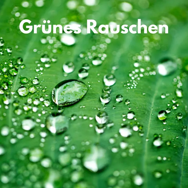 Grünes Rauschen Gerät