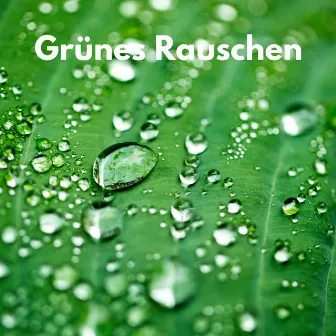 Grünes Rauschen by Weißes Rauschen Baby