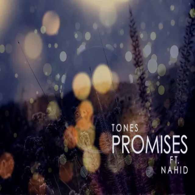 Promises (feat. Nahid)