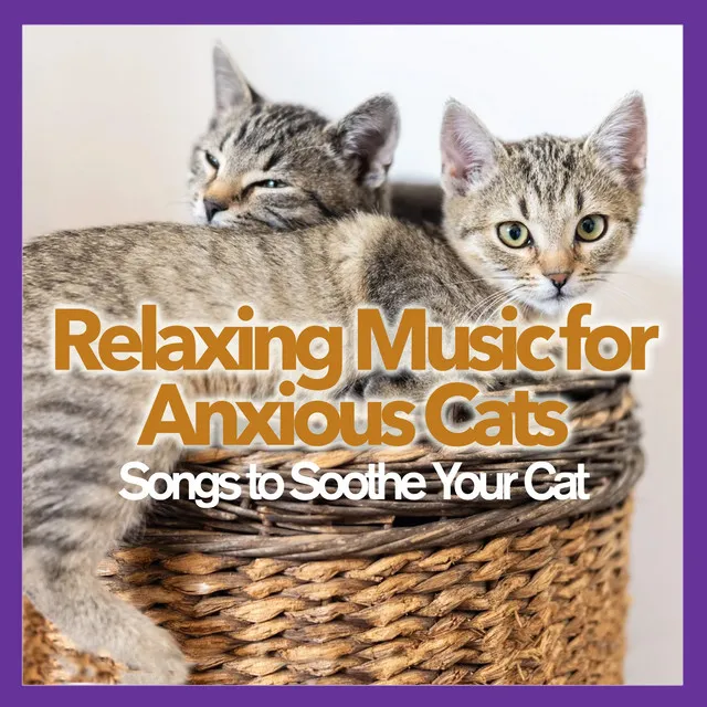 Cat Music Therapy