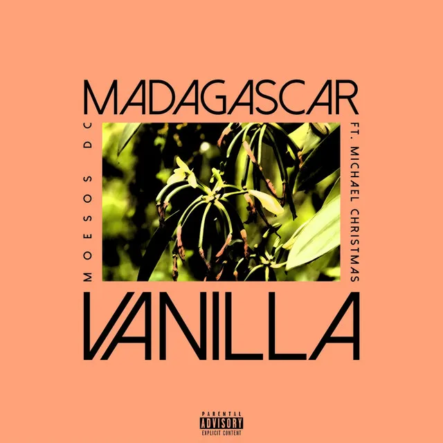 Madagascar Vanilla