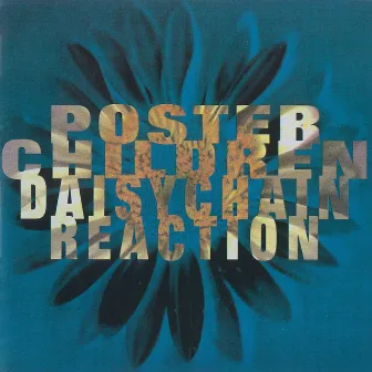 Daisychain Reaction by Poster Children