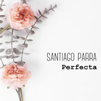 Perfecta by Santiago Parra