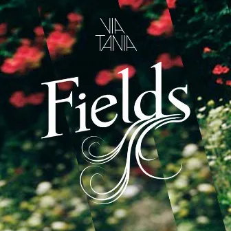 Fields by Via Tania