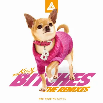 Bitches [The Remixes] by Kick The Habit