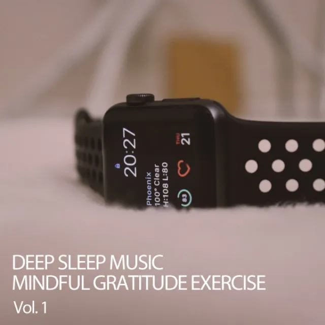 Deep Sleep Music Heartbeat Exercises Vol. 1