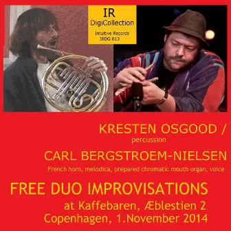 Free Duo Improvisations (Live at Kaffebaren, Æblestien 2 Copenhagen, 1.november 2014) by Carl Bergstrøm-Nielsen