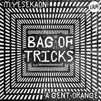 Bag Of Tricks by M. Yesekaon