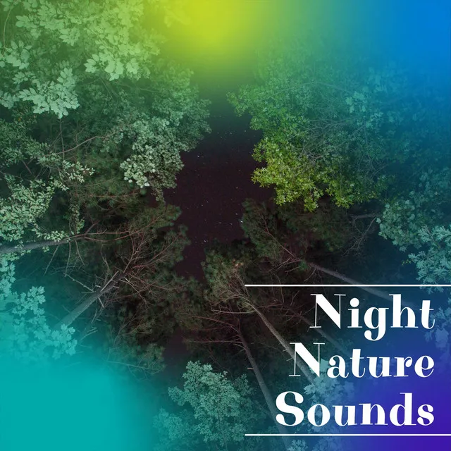 Birds and Crickets Night Sounds