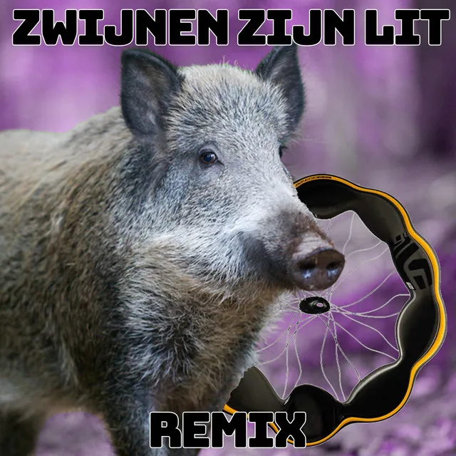 Zwijnen zijn lit - Remix