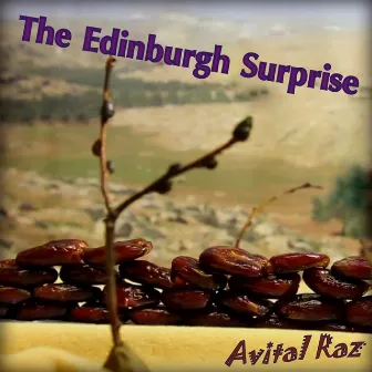 The Edinburgh Surprise by Avital Raz