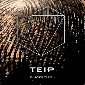 Fingertips by TEIP