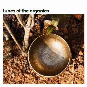 Tunes of the Organics by Florida Nature