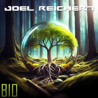 BIO (Radio Edit) by Joel Reichert