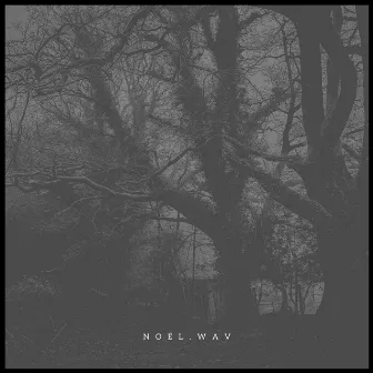 Stream of Consciousness by Noel.wav