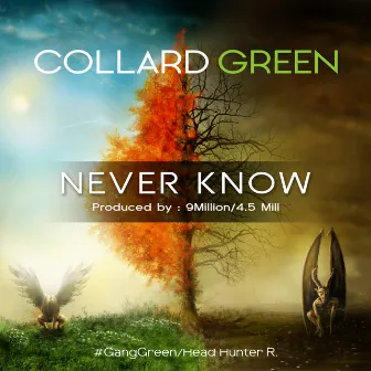 Never Know by Collard Green