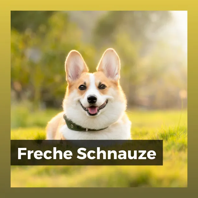 Freche Schnauze