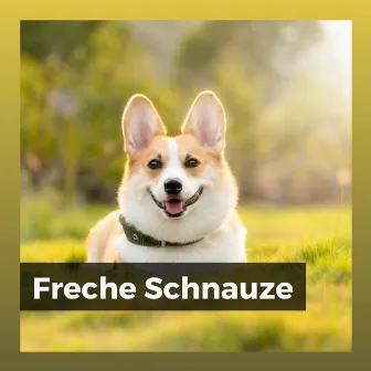 Freche Schnauze by Entspannende Musik für Hunde