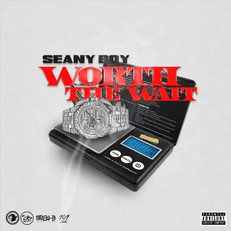 Till I'm On by Seany Boy