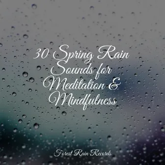 30 Spring Rain Sounds for Meditation & Mindfulness by Rain Storm Sample Library