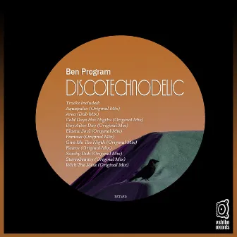 DiscoTechnoDelic by Ben Program