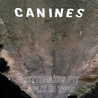 Bottomless Pit | Split in Two by Canines