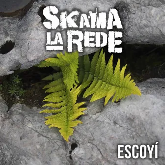 Escoyí by Skama la rede